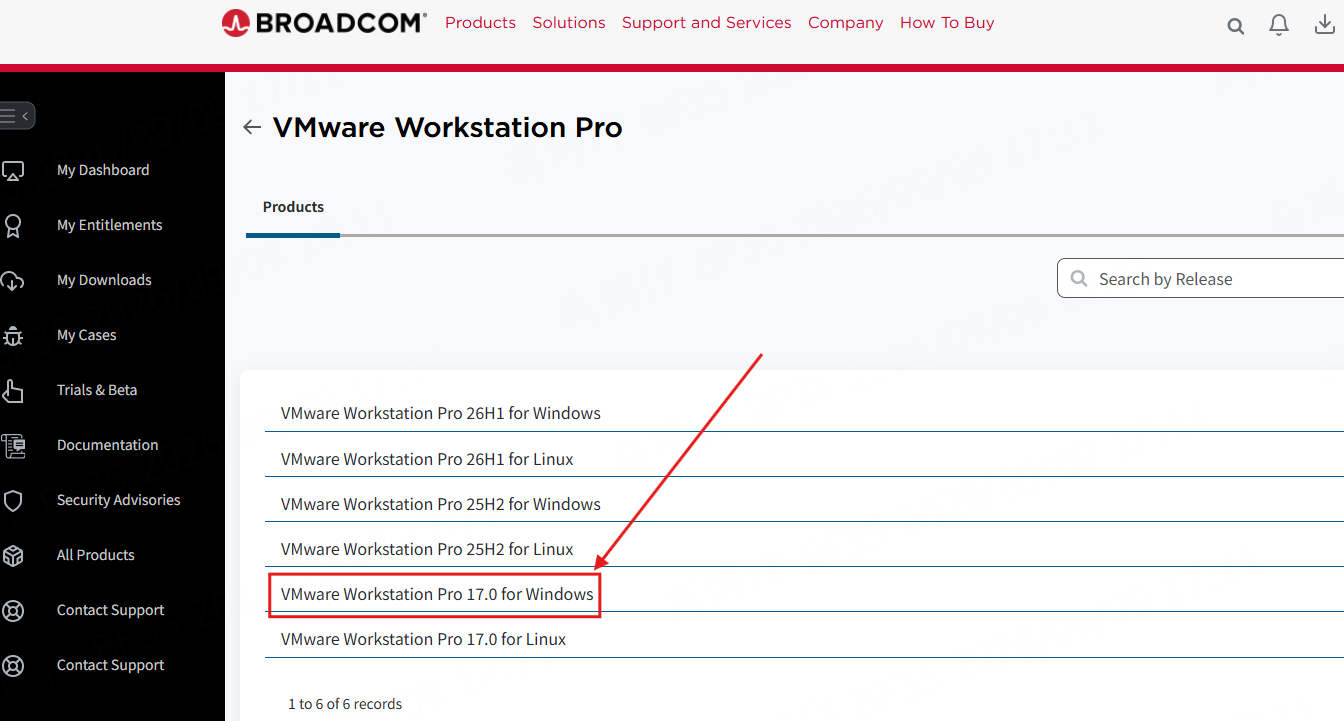 vmware_02_点击17版本